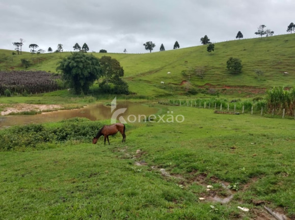 Imagem Fazenda à Venda, 100 m² em Cachoeira Grande - Lagoinha Imagem Fazenda à Venda, 100 m² em Cachoeira Grande - Lagoinha