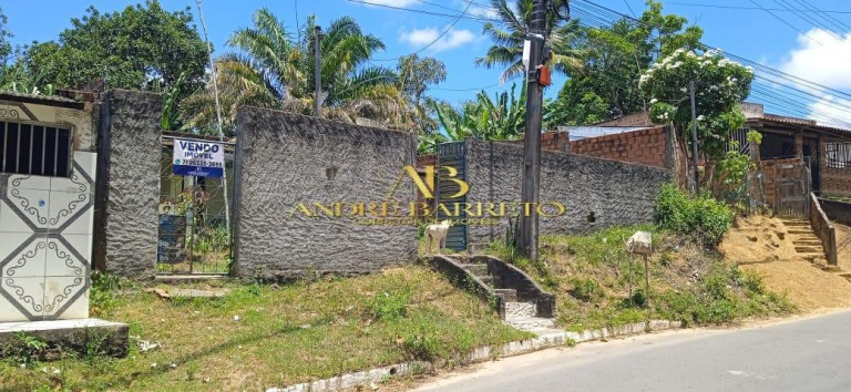 Chácara com 4 Quartos à Venda, 2.599 m² em Centro - Simões Filho