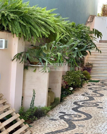 Imagem Casa com 4 Quartos à Venda, 311 m² em Swiss Park - Campinas Imagem Casa com 4 Quartos à Venda, 311 m² em Swiss Park - Campinas