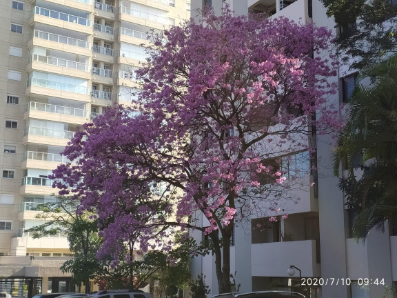 Imagem Imóvel com 3 Quartos à Venda, 71 m² em Vila Firmiano Pinto - São Paulo