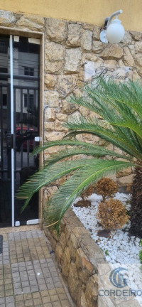 Imagem Imóvel com 3 Quartos à Venda, 79 m² em Jardim Vinte E Cinco De Agosto - Duque De Caxias