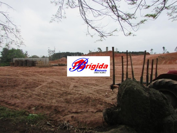 Imagem Terreno à Venda, 125 m² em Jardim São Vicente - Cotia