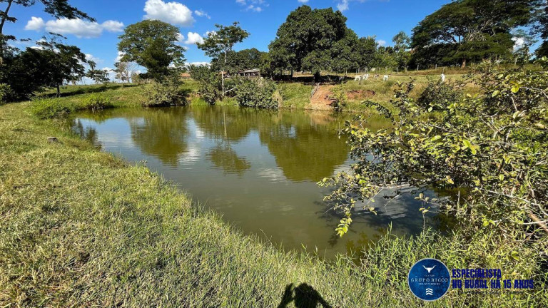 Imagem Fazenda à Venda, 46 m² em Setor Central - Nazário
