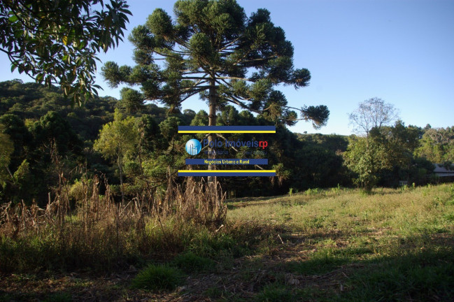 Imagem Imóvel com 1 Quarto à Venda, 19.700 m² em Campestre - Muzambinho Imagem Imóvel com 1 Quarto à Venda, 19.700 m² em Campestre - Muzambinho