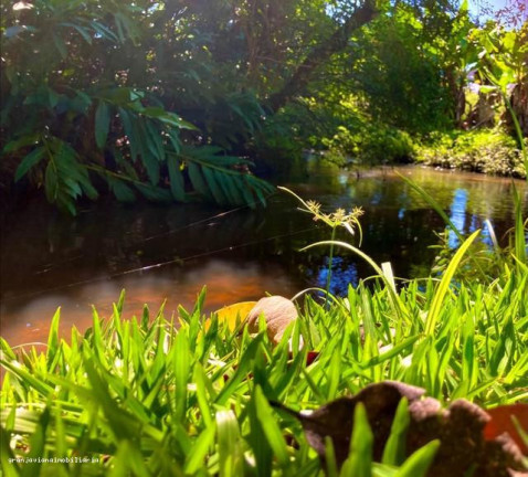 Imagem Chácara à Venda, em Consultar - Ibiúna Imagem Chácara à Venda, em Consultar - Ibiúna
