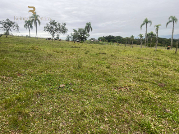 Imagem Chácara com 2 Quartos à Venda, 32.000 m² em Fazenda Fialho - Taquara Imagem Chácara com 2 Quartos à Venda, 32.000 m² em Fazenda Fialho - Taquara