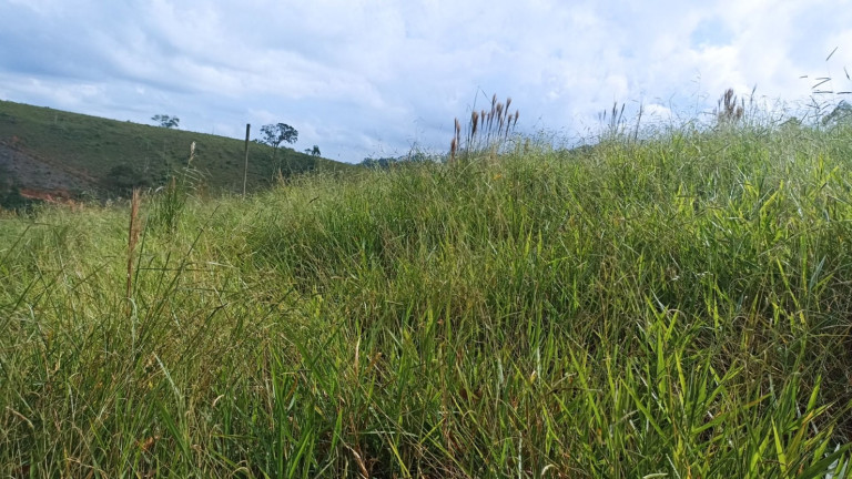 Imagem Chácara com 4 Quartos à Venda, 500 m² em Centro - Paraibuna