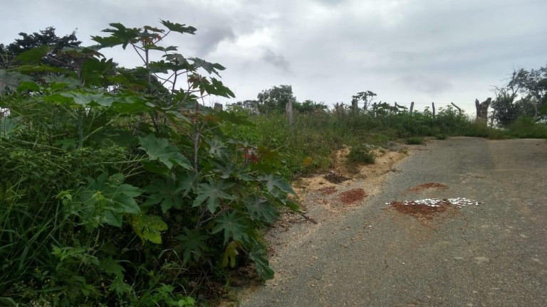 Imagem Terreno à Venda, 413 m² em Belvedere - Ribeirão Das Neves