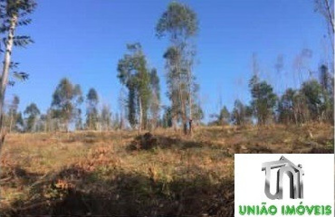 Imagem Terreno à Venda, 2.501 m² em Bairro Agudos - Bragança Paulista Imagem Terreno à Venda, 2.501 m² em Bairro Agudos - Bragança Paulista