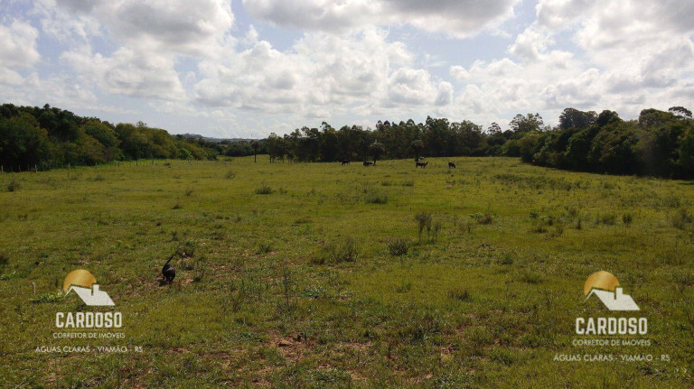 Imagem Fazenda à Venda, 30.000 m² em águas Claras - Viamão Imagem Fazenda à Venda, 30.000 m² em águas Claras - Viamão