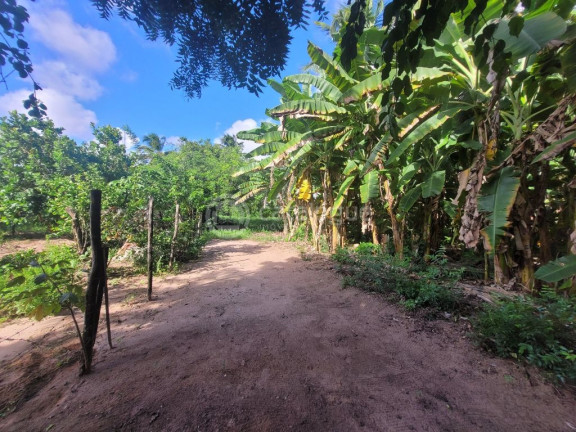 Imagem Terreno à Venda, 23.650 m² em Igapó - Natal Imagem Terreno à Venda, 23.650 m² em Igapó - Natal