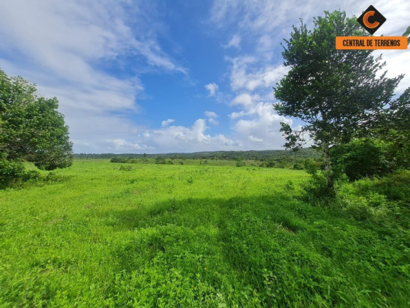 Imagem Imóvel com 2 Quartos à Venda, 975.787 m² em Barra De Pojuca - Camaçari Imagem Imóvel com 2 Quartos à Venda, 975.787 m² em Barra De Pojuca - Camaçari