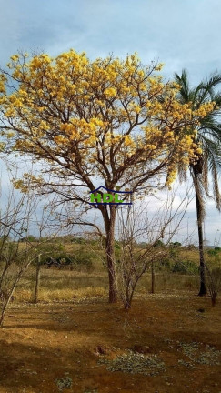 Imagem Fazenda à Venda, 32 m² em Zona Rural - Professor Jamil