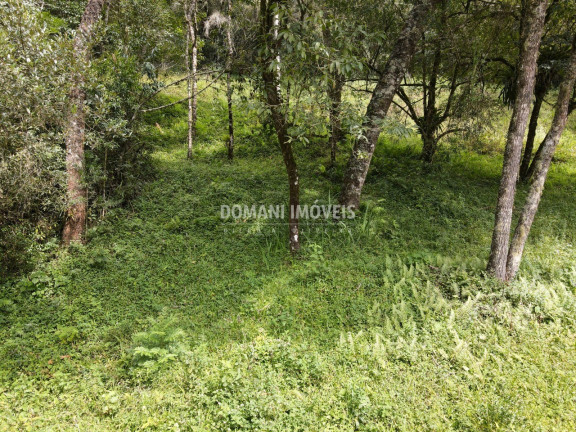 Imagem Terreno à Venda, 1.270 m² em Região Do Imbiri - Campos Do Jordão Imagem Terreno à Venda, 1.270 m² em Região Do Imbiri - Campos Do Jordão
