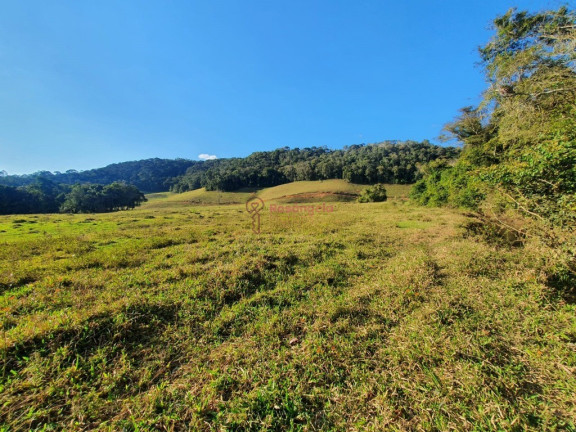 Imóvel à Venda, 558.000 m² em Pedra Azul - Domingos Martins