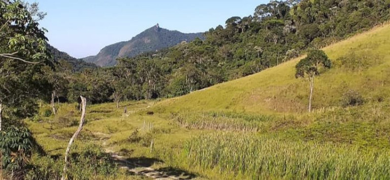Imagem Fazenda à Venda, 726.000 m² em Tomba - Feira De Santana Imagem Fazenda à Venda, 726.000 m² em Tomba - Feira De Santana