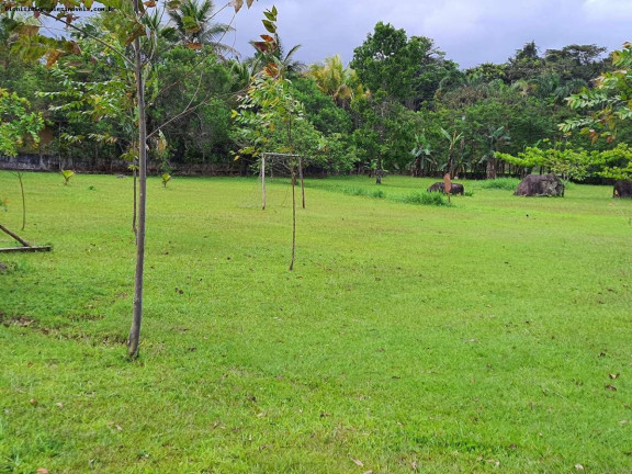 Imagem Chácara com 6 Quartos à Venda, 350 m² em Jardim Somar - Peruíbe