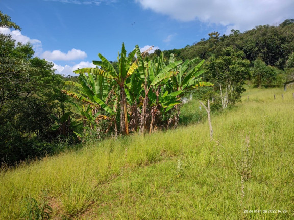 Imagem Imóvel com 3 Quartos à Venda, 160.000 m² em Centro - Atibaia Imagem Imóvel com 3 Quartos à Venda, 160.000 m² em Centro - Atibaia
