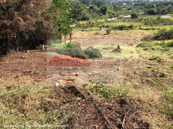 Imagem Terreno à Venda, 8.000 m² em Chacaras Catagua - Taubaté Imagem Terreno à Venda, 8.000 m² em Chacaras Catagua - Taubaté