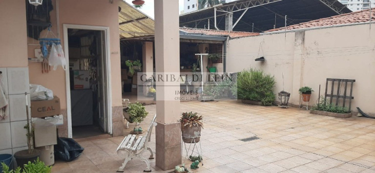 Imagem Imóvel com 3 Quartos à Venda, 160 m² em Vila Itapura - Campinas Imagem Imóvel com 3 Quartos à Venda, 160 m² em Vila Itapura - Campinas