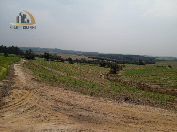 Imagem Fazenda à Venda, 968.000 m² em Zona Rural - Mombuca