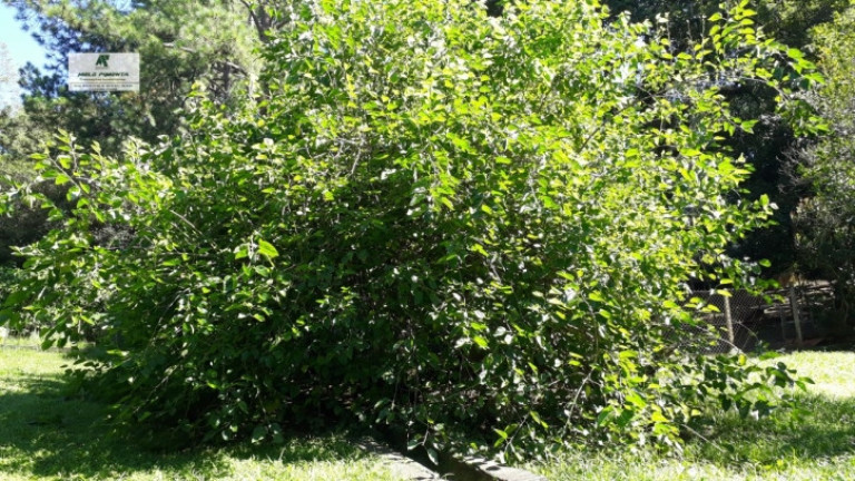 Imagem Chácara à Venda, 2.000 m² em Alto Da Serra - São Roque Imagem Chácara à Venda, 2.000 m² em Alto Da Serra - São Roque
