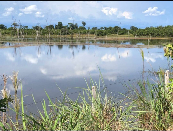 Imagem Fazenda à Venda, 2.000 m² em Cuiabá Imagem Fazenda à Venda, 2.000 m² em Cuiabá