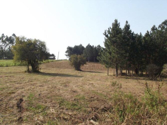 Imagem Terreno à Venda, 80.000 m² em águas Claras - Viamão