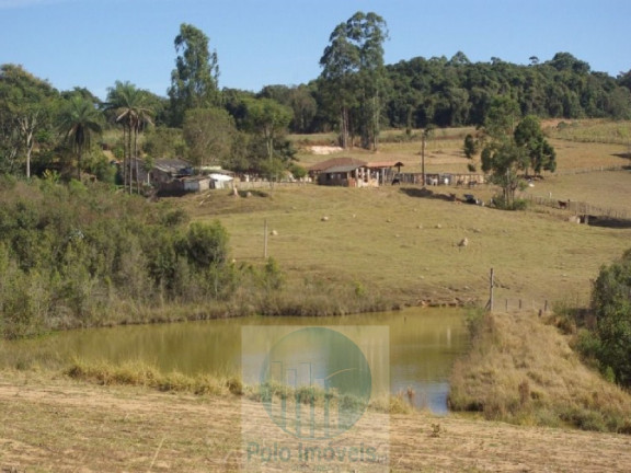 Imagem Imóvel com 2 Quartos à Venda, 665.000 m² em Zona Rural - Jacui Imagem Imóvel com 2 Quartos à Venda, 665.000 m² em Zona Rural - Jacui