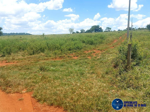 Imagem Chácara à Venda, 20 m² em Zona Rural - Goianira Imagem Chácara à Venda, 20 m² em Zona Rural - Goianira