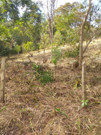 Imagem Terreno à Venda, 100 m² em Bandeira Branca - Jacareí Imagem Terreno à Venda, 100 m² em Bandeira Branca - Jacareí
