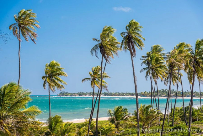 Imagem Imóvel com 30 Quartos à Venda, 8.000 m² em Itacimirim - Camaçari Imagem Imóvel com 30 Quartos à Venda, 8.000 m² em Itacimirim - Camaçari