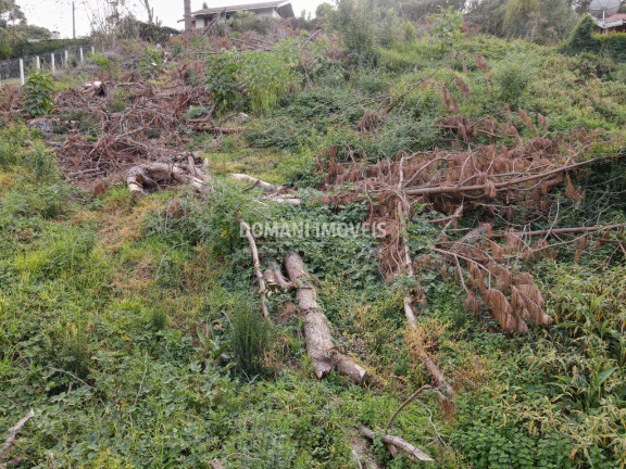 Imagem Terreno à Venda, 1.110 m² em Região De Descansópolis - Campos Do Jordão Imagem Terreno à Venda, 1.110 m² em Região De Descansópolis - Campos Do Jordão