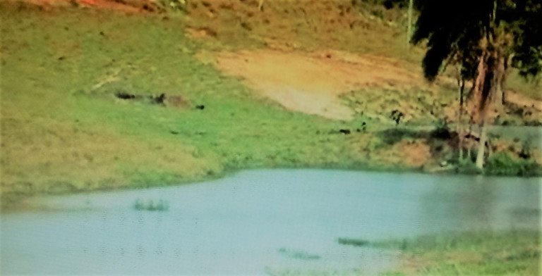 Imagem Fazenda à Venda, 111 m² em Rural - Amparo