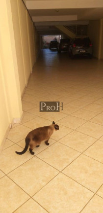Imagem Apartamento com 2 Quartos à Venda, 84 m² em Campestre - Santo André