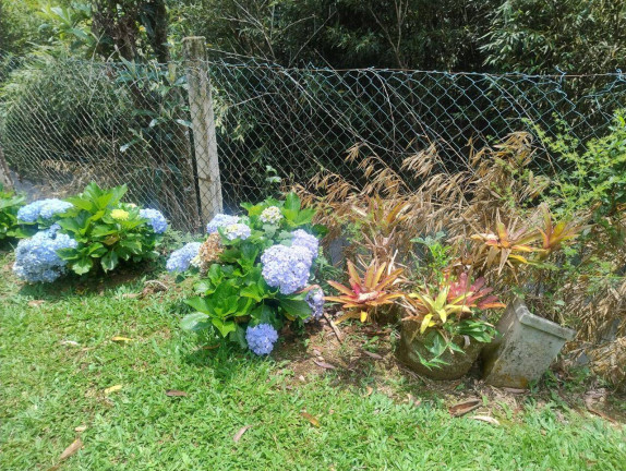 Imagem Casa com 3 Quartos à Venda, 3 m² em Mury - Nova Friburgo Imagem Casa com 3 Quartos à Venda, 3 m² em Mury - Nova Friburgo