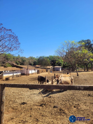 Imagem Chácara à Venda, 5 m² em Zona Rural - Cristianópolis Imagem Chácara à Venda, 5 m² em Zona Rural - Cristianópolis