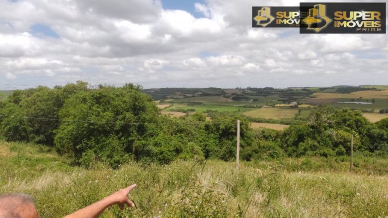 Imagem Imóvel com 2 Quartos à Venda, 240.000 m² em Centro - Morro Redondo