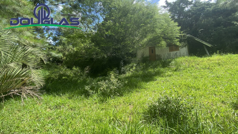 Imagem Terreno à Venda, 5.000 m² em Viamão
