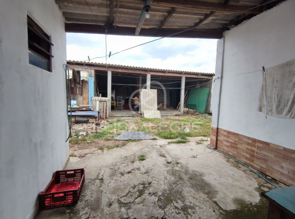 Imagem Casa com 3 Quartos à Venda, 200 m² em Vicentina - São Leopoldo