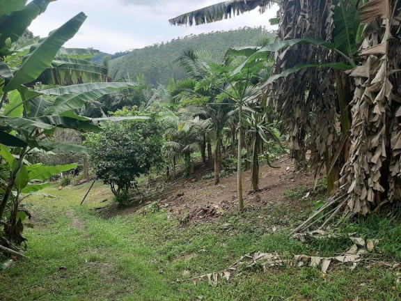 Imagem Chácara com 3 Quartos à Venda, 250 m² em Pouso Alto - Natividade Da Serra Imagem Chácara com 3 Quartos à Venda, 250 m² em Pouso Alto - Natividade Da Serra