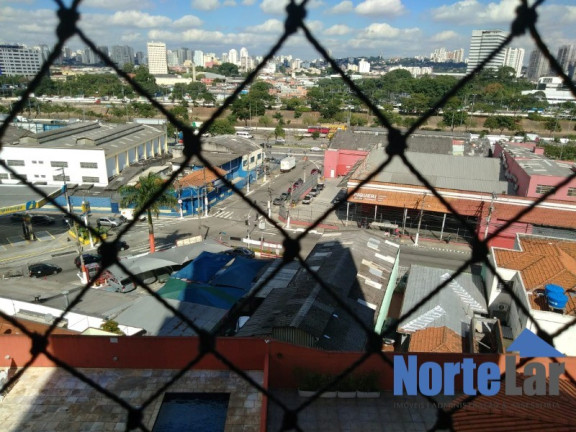 Imagem Apartamento com 2 Quartos para Alugar, 57 m² em Piqueri - São Paulo Imagem Apartamento com 2 Quartos para Alugar, 57 m² em Piqueri - São Paulo