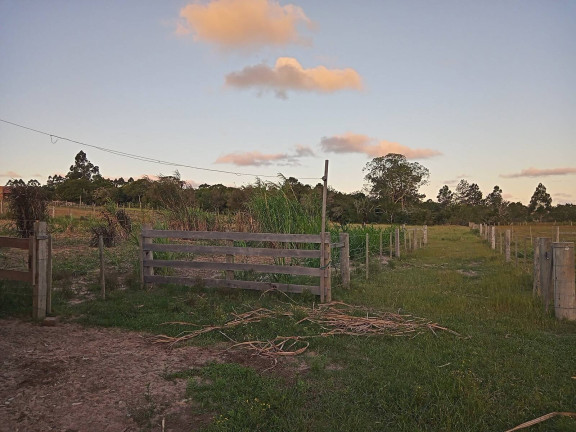 Imagem Chácara com 2 Quartos à Venda, 20.000 m² em águas Claras - Viamão
