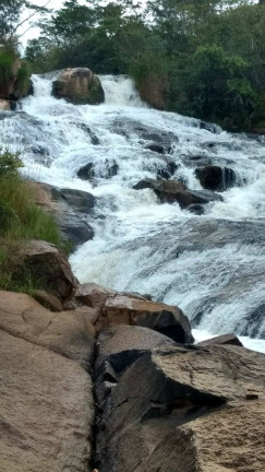 Imagem Fazenda à Venda, 18 m² em Zona Rural - Orizona