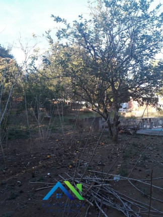 Imagem Casa com 2 Quartos à Venda, 3.608 m² em Caioçara - Jarinu