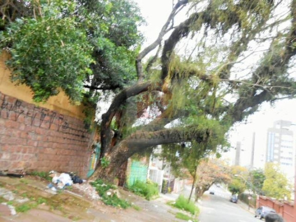 Imagem Casa com 3 Quartos à Venda, 380 m² em Menino Deus - Porto Alegre Imagem Casa com 3 Quartos à Venda, 380 m² em Menino Deus - Porto Alegre