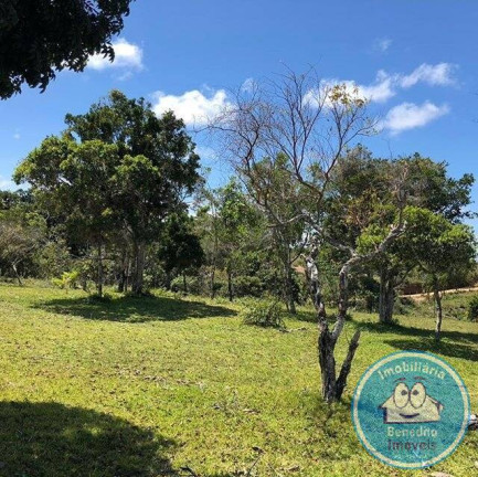Imagem Terreno à Venda, 22.460 m² em Trancoso - Porto Seguro Imagem Terreno à Venda, 22.460 m² em Trancoso - Porto Seguro