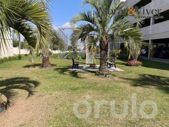Imagem Apartamento com 2 Quartos à Venda, 40 m² em Pinheirinho - Curitiba Imagem Apartamento com 2 Quartos à Venda, 40 m² em Pinheirinho - Curitiba