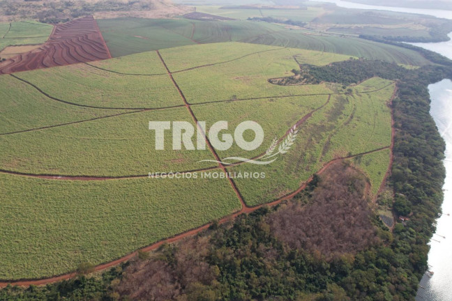 Imagem Fazenda à Venda, 56 m² em Zona Rural - Igarapava