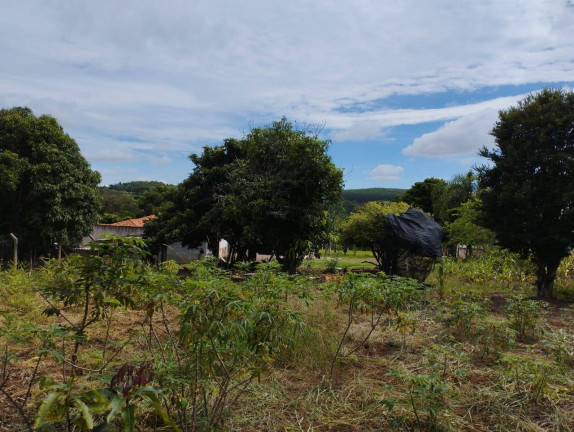 Imagem Chácara com 2 Quartos à Venda, 2 m² em Reunidas - Pilar Do Sul Imagem Chácara com 2 Quartos à Venda, 2 m² em Reunidas - Pilar Do Sul